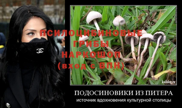 соль курить ск Алзамай