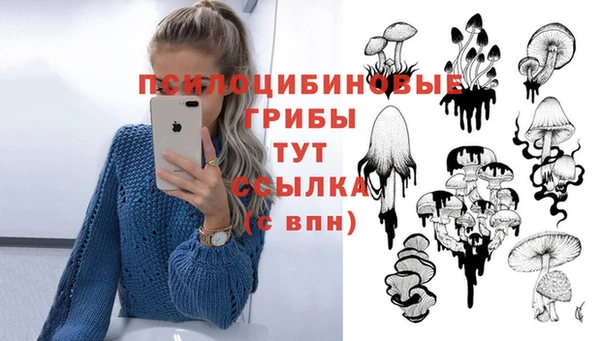 прущий лед Абдулино