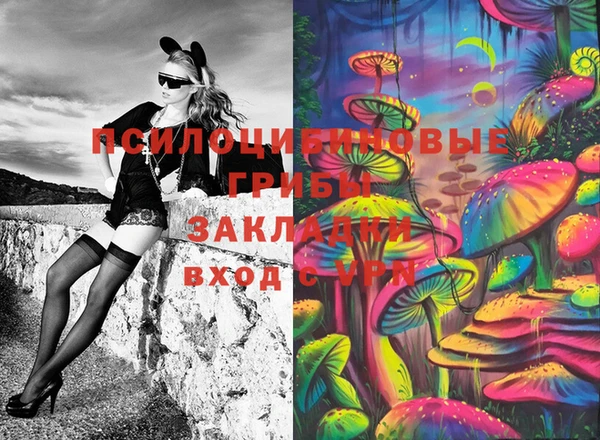 спайс Алексин